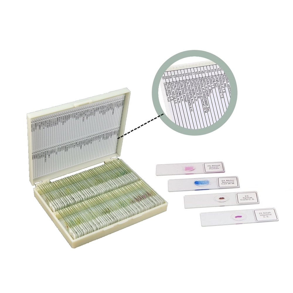 Laborinstrumente Medizinische  – Medical Lab Iso Bewertung und Preis